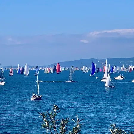 Five Flowers Penzion 4*