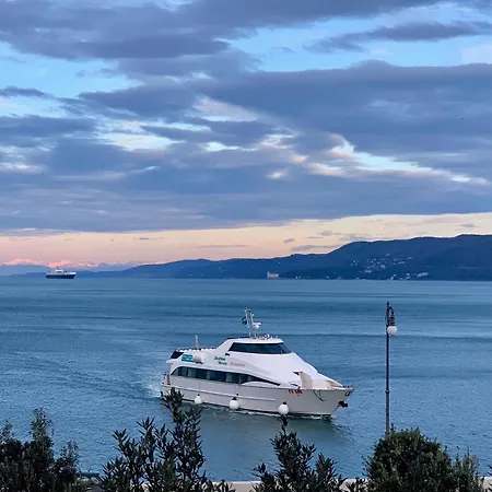 Πανσιόν Five Flowers